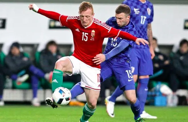 Kleinheisler, Werder’s original