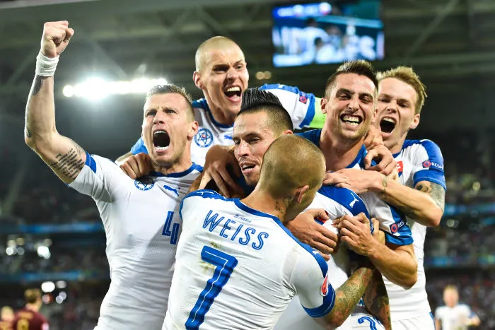 Vladimir l&rsquo;edelweiss