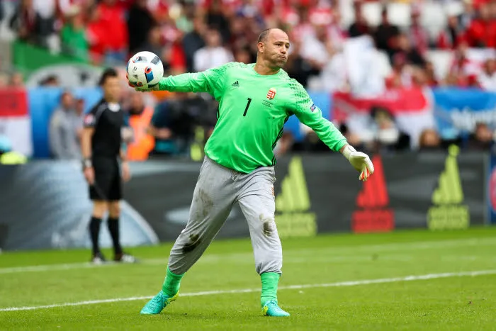 Pronostic Belgique Hongrie : Analyse, prono et cotes du 1/8e de finale de l&rsquo;Euro 2016