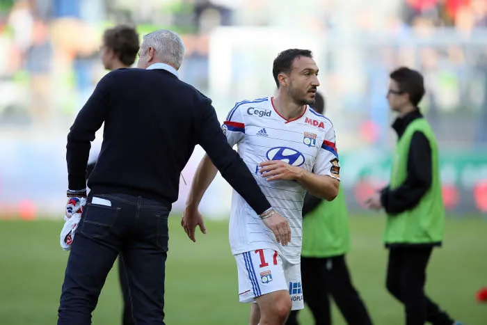 Steed, le coursier inattendu