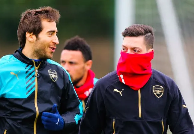 Pardew : «<span style="font-size:50%">&nbsp;</span>Flamini va bousculer Joe Ledley et Yohan Cabaye<span style="font-size:50%">&nbsp;</span>»