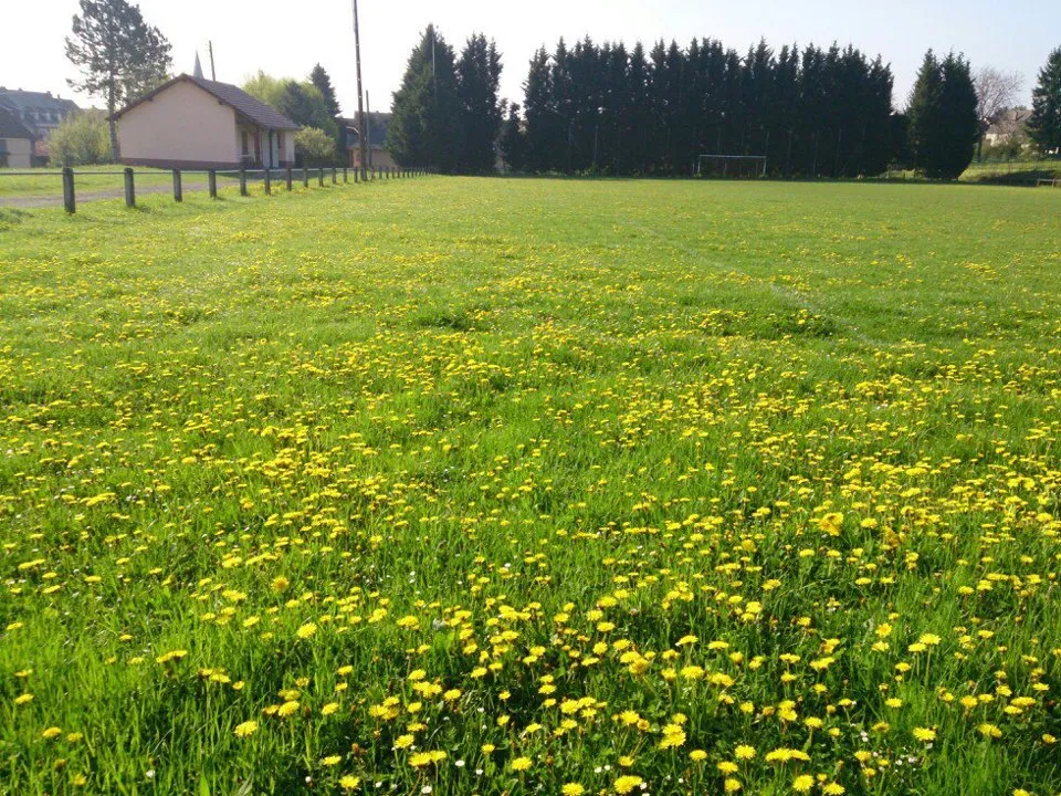 Tu sais que tu joues en District quand…