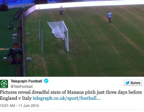 Photo : Une pelouse en sale état