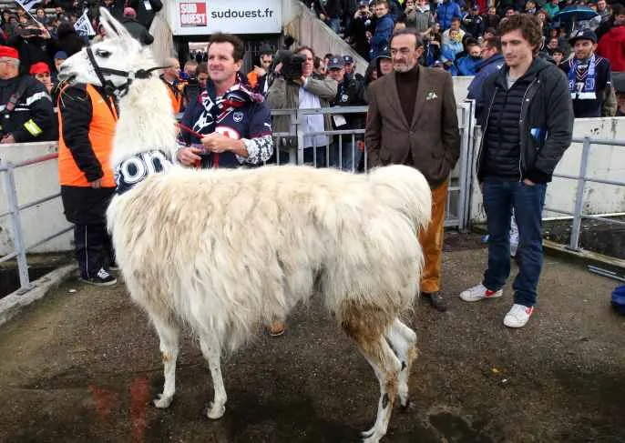 En neuf mois de Ligue 1, on a vu cette saison…