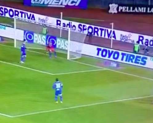 Vine : La chance de Widmer