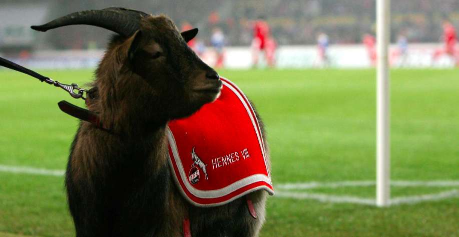 Hennes, prince de Cologne