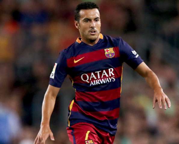 Pedro, l’élégance du hérisson