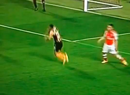 La simulation de l&rsquo;année ?