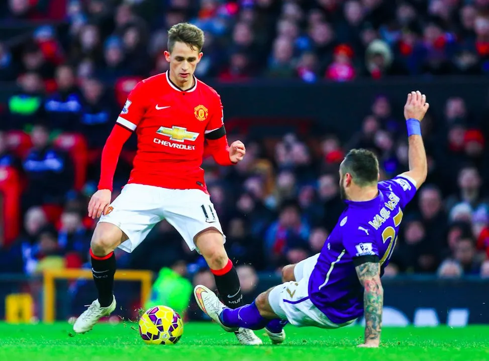 Januzaj, la main tendue