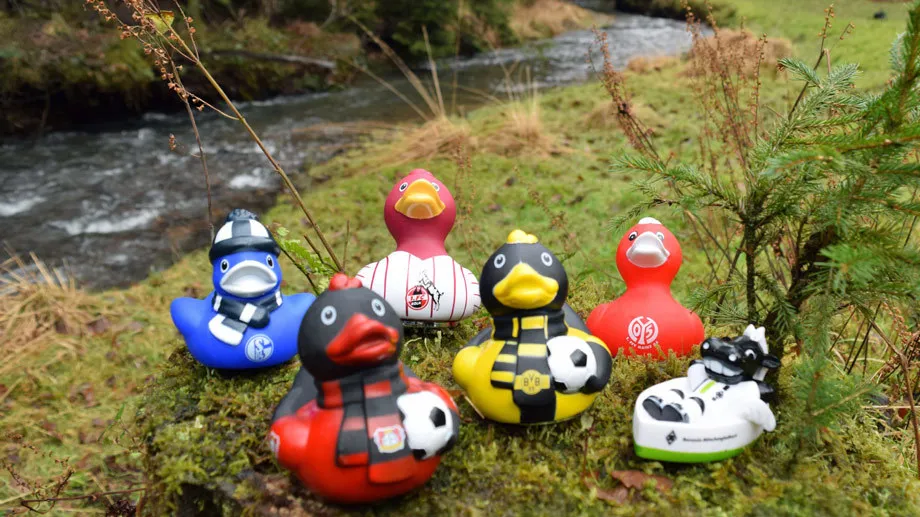 La BunDucksLiga, l&rsquo;autre danse des canards