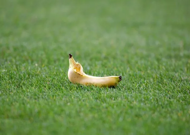 L&rsquo;attaque de la banane gonflable