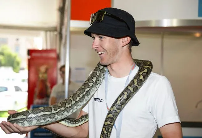 Un cobra interrompt un match brésilien