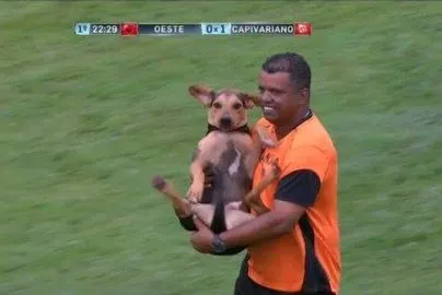 Un chien s’invite à un match brésilien
