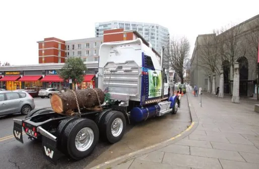 Photo : Les Timbers et leur tronc fétiche pour la finale de MLS