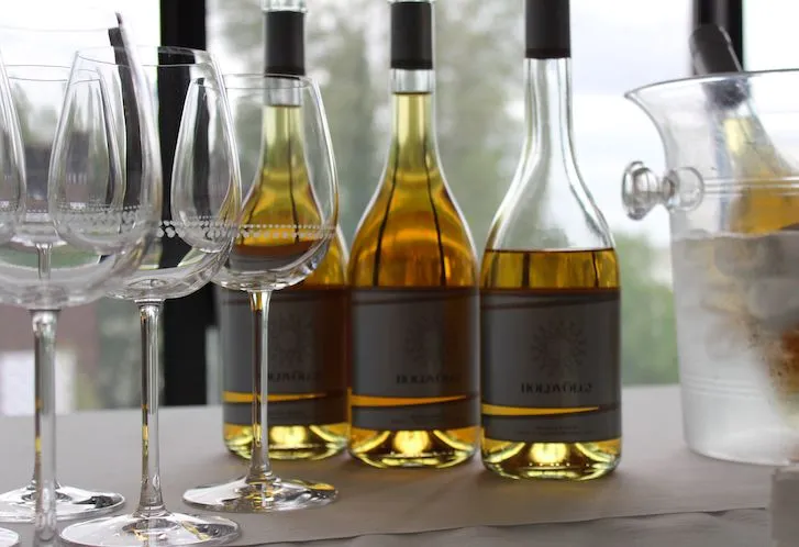 La Hongrie l’emporte aussi sur le plan viticole