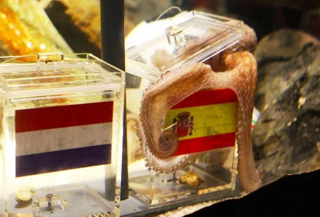 Belgique – Pays de Galles diffusé à cinq mètres de profondeur sous l’eau