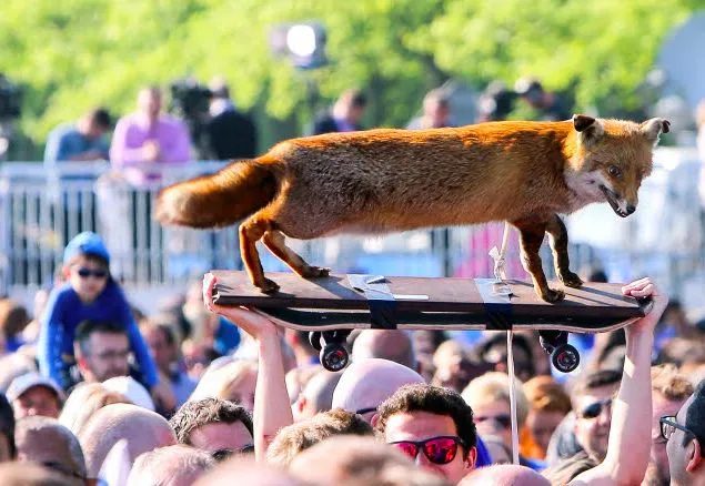 Les images de la parade de Leicester