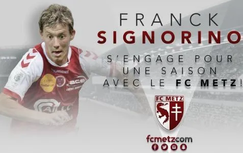 Retour au bercail pour Signorino