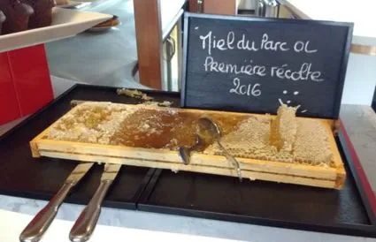 L’OL se lance dans la production de miel