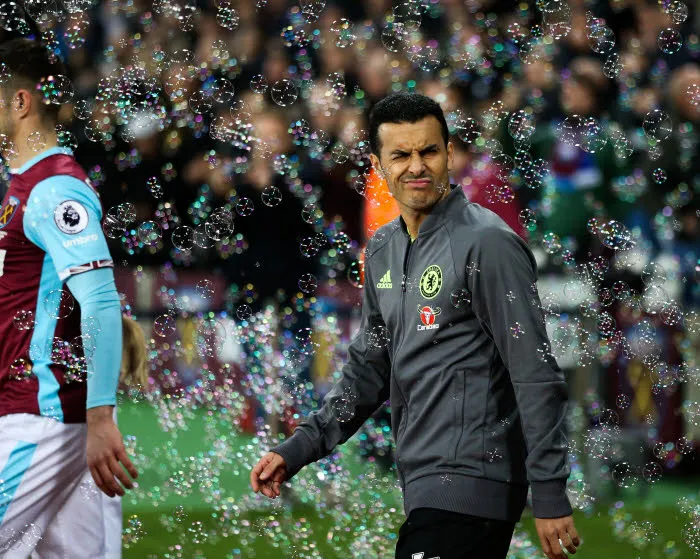 Pedro, l&rsquo;ultime roue du carrosse