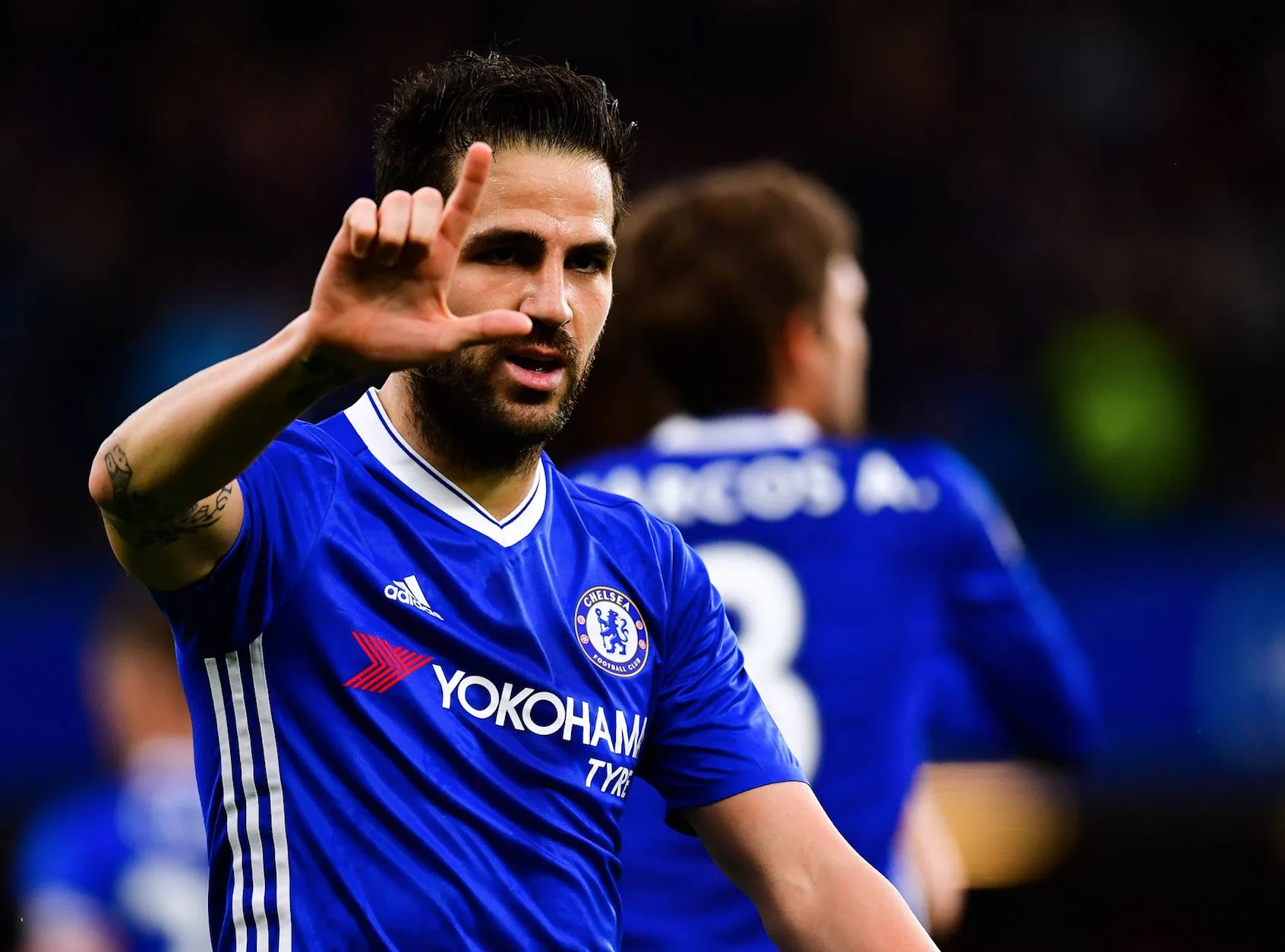 Fàbregas, l’éternel émerveillement