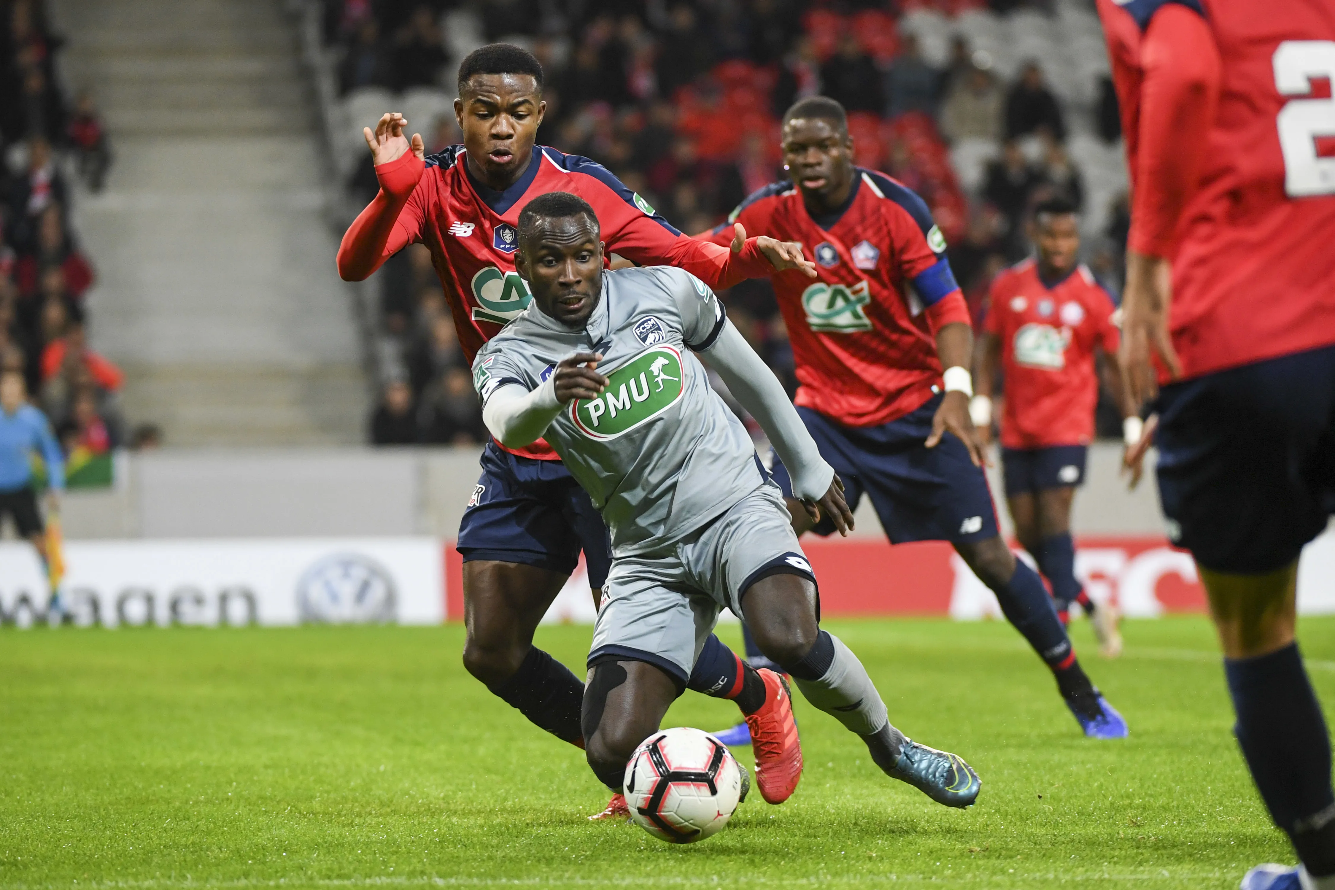 Les Dogues mordent les Lionceaux