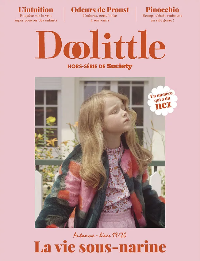 DOOLITTLE HS N°6
