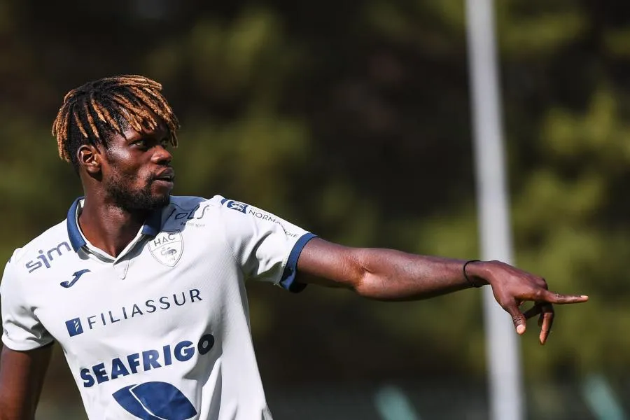 Thiaré et Le Havre enfoncent Guingamp