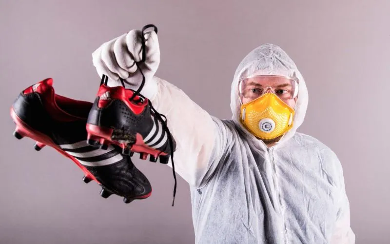 C1, C3 : la gelée royale