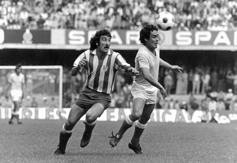 Le Capón de bonne espérance