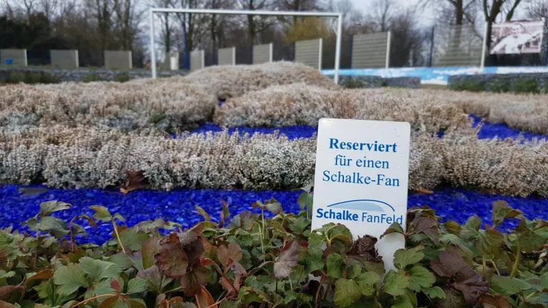 Schalke, un cimetière de supporters 04 pieds sous terre