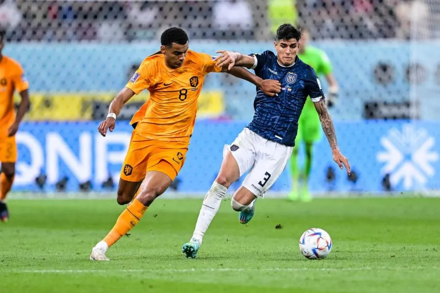 Les Pays-Bas s&rsquo;endorment sur l&rsquo;Équateur