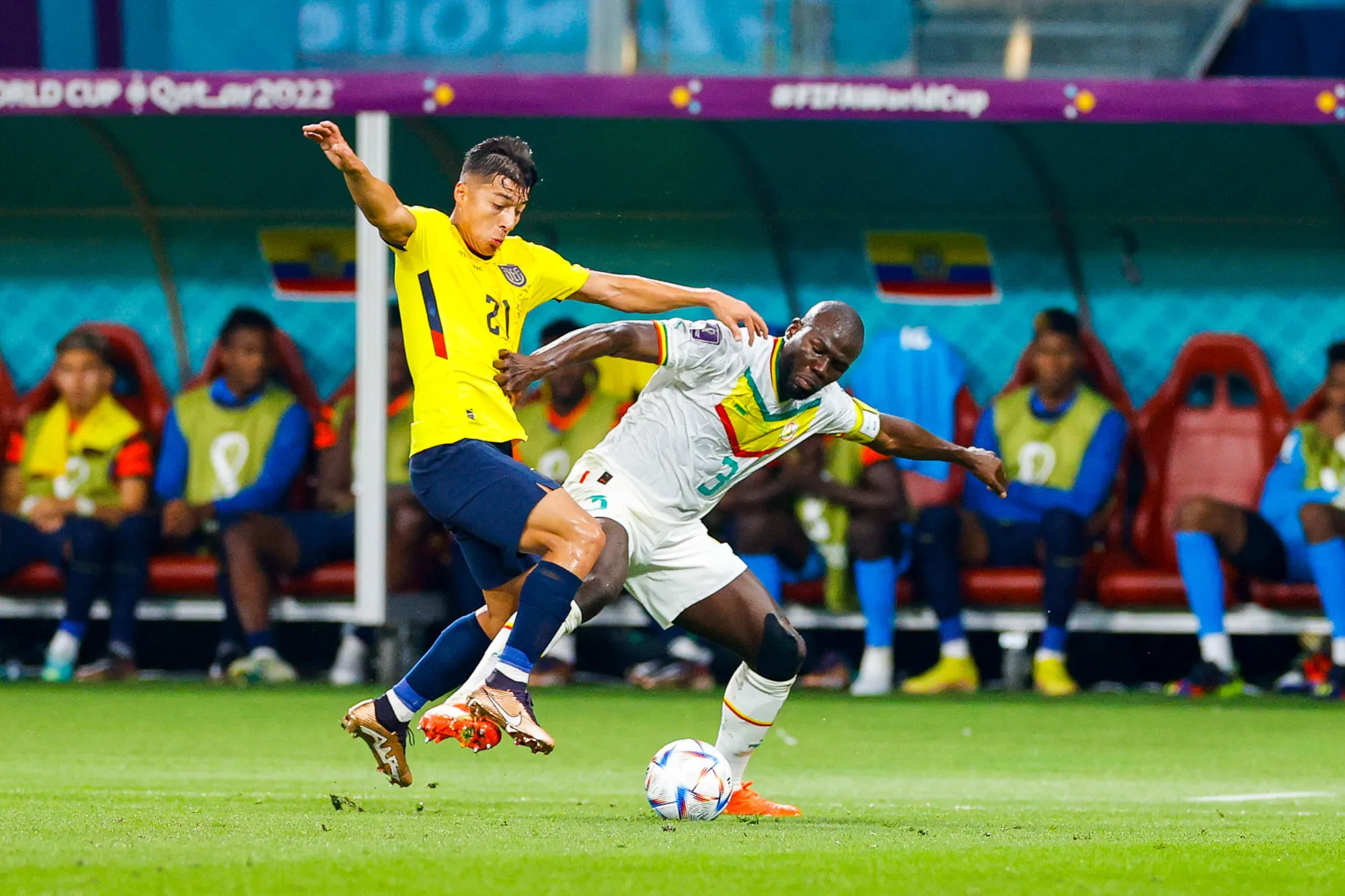 En direct : Équateur – Sénégal