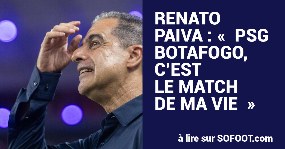 palmeiras vs botafogo